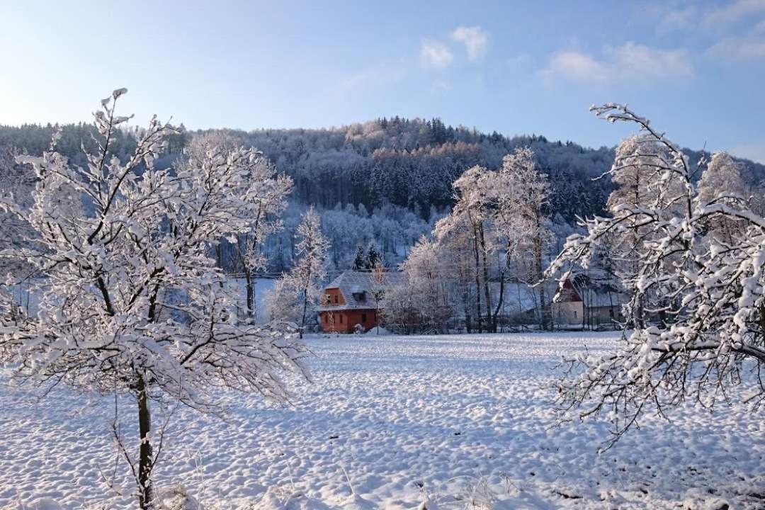 Roubenka Pod Capim Vrchem Villa Velké Losiny Buitenkant foto